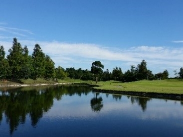 7KXrrCBPsMoBx2cEytKs.jpg?w=940&h=940