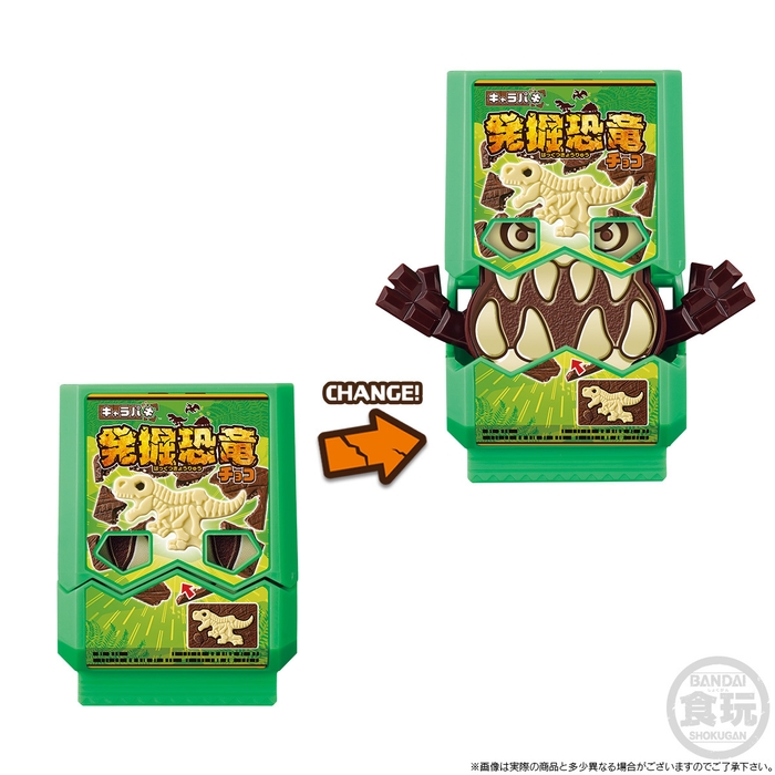 SGライダーゴチゾウ02&03 キャラパキゴチゾウセット(商品イメージ)