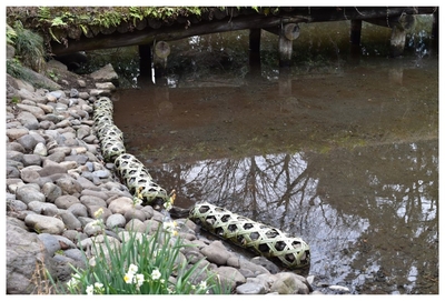 7LLV8wtPTDC8hRKwf9qa.jpg?w=940&h=940