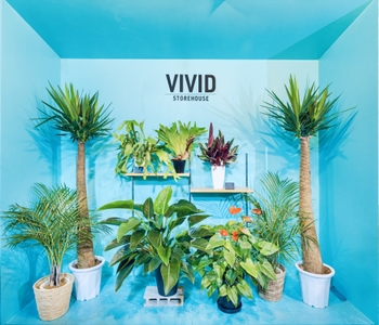 7LV676FOqzfU02jSRjz4.jpeg?w=940&h=940