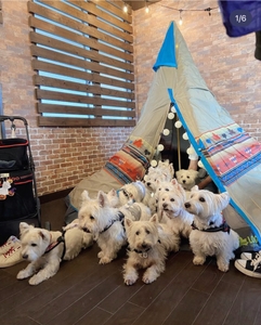 7P8shiO8NI0KEb2wnAVE.jpg?w=940&h=940