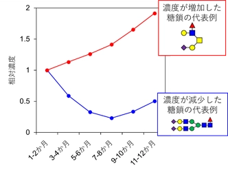 雪印メグミルクと雪印ビーンスタークの母乳調査　国内初 日本人母乳中の糖鎖の濃度変化を詳細に解析