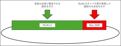 7QrPpi8Au79rgMlotiJ9.jpg?w=940&h=940