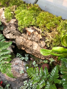 7RUfKPsIlVBNcyP736oB.jpg?w=940&h=940