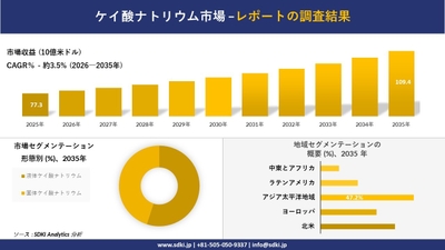 ケイ酸ナトリウム市場レポート概要