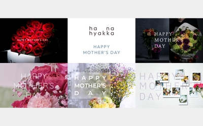 7SR5izO23VWKKRQI9S7k.jpeg?w=940&h=940