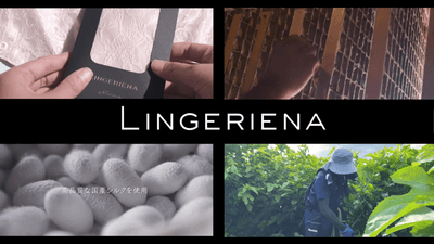 7T29NgXl2BVbzw9q1rqK.png?w=940&h=940