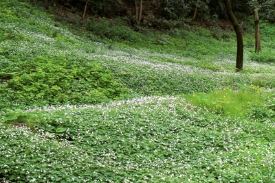 7TT9wtpQgm4wdvwbEqdq.jpg?w=940&h=940