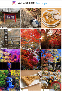 7TUFYH03uSjqjR68s62k.png?w=940&h=940