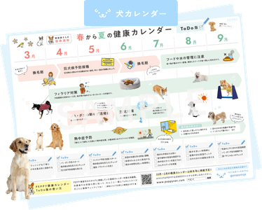 7TnvRCC4M8A9kwQaEmb3.png?w=940&h=940