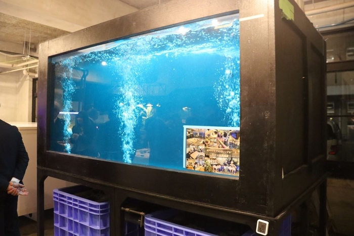 クラウドファンディングを利用して完成した5㌧水槽
