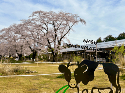 7U6n5HNjumk92nihelBJ.png?w=940&h=940