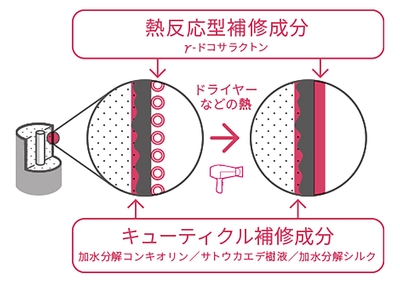 7UenMvr04u5BeyRf7P7y.jpg?w=940&h=940