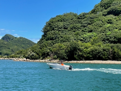 7V1v6FQX0zwU12ZtXR3y.jpeg?w=940&h=940