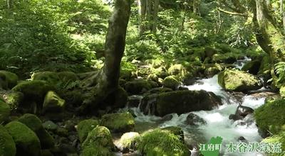 7V8bp27XZ3blr4mplKfy.png?w=940&h=940