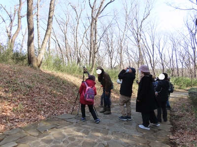 高いところに留まっているのかな？