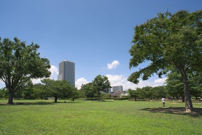 7VvzeinaNsfhNg4byElK.jpg?w=940&h=940