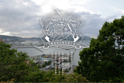 7WHXsJzMFzFx58ouqQnp.jpg?w=940&h=940