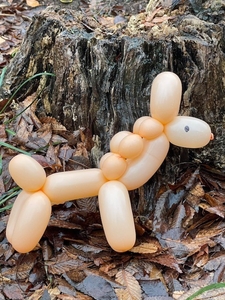 7WNiLuZ6T6b4VHW2xdSI.jpg?w=940&h=940