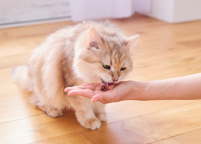 7Wrx3n67ZHcry9O04jeO.jpg?w=940&h=940