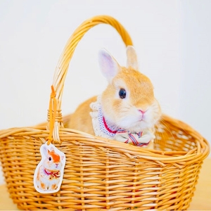 7Y3szDHgxNeIcFKmXi33.jpg?w=940&h=940