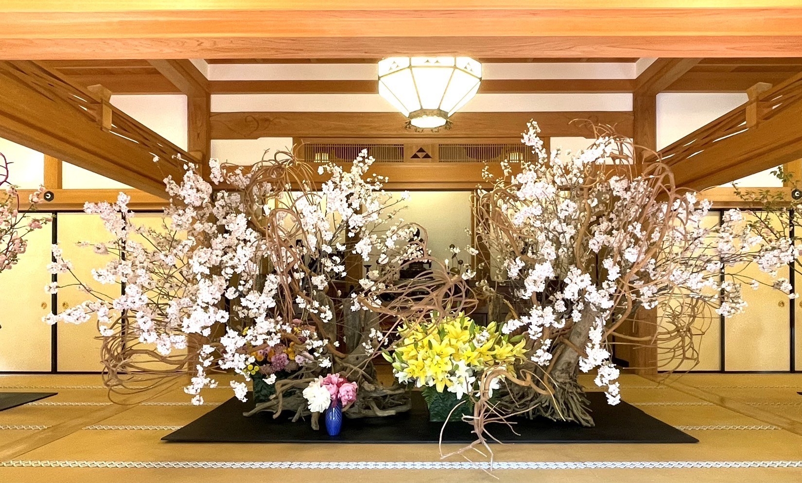 7yhphsi2pbga23olzhkh