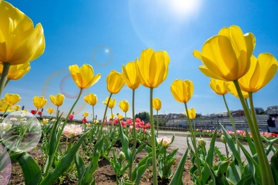 7ZLS4D7vt6ga5mj9VHdl.jpg?w=940&h=940