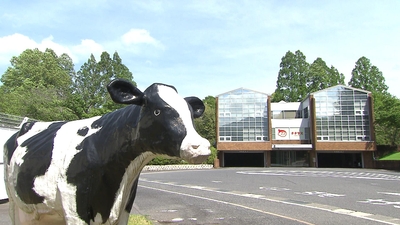 7ZQOpL3TZlYPQgVsLD20.jpg?w=940&h=940