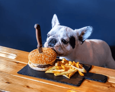 7ZdvY1gIE9LaXaUN1IdS.png?w=940&h=940