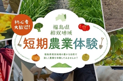 7cinL83iYQ8DQyuwUMN6.jpg?w=940&h=940