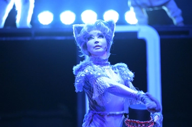猫好き、猫オタ大満足の全く新しい猫のミュージカル『CATsLa』（キャッツら）が上演決定！　収益の一部は猫の保護活動へ