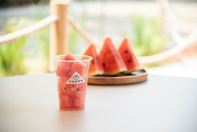 7czT5p8KqQn6udUZ6yWb.jpeg?w=940&h=940