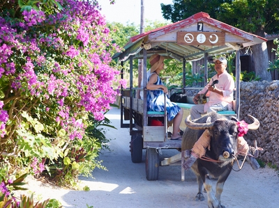 7d2KfhswdJSbxgKADwlc.jpg?w=940&h=940