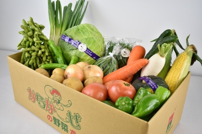 7fENXt40uVhYt4yDHaZh.jpg?w=940&h=940