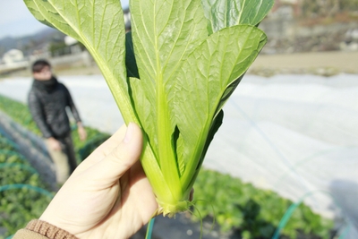 7frsbN5O7q5KHfI1yB1b.JPG?w=940&h=940