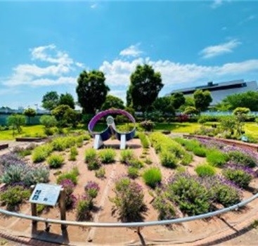 ハーブガーデンと日時計