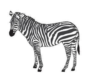 7hGmP4xwSWBgjOyLnsoZ.jpg?w=940&h=940