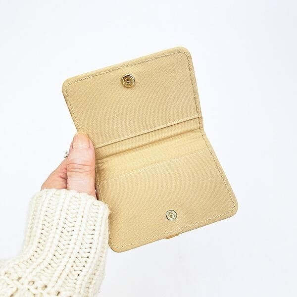 ポケモンのパスケース