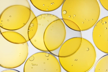 アラキドン酸含有量を規格化した 「アラキドン酸パウダー10E」の販売を開始