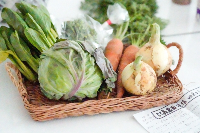 3つの種を繋ぐ農園野菜