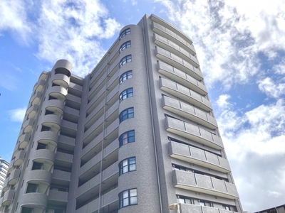 7j59WAP9eMT3r3Il7l4T.jpg?w=940&h=940