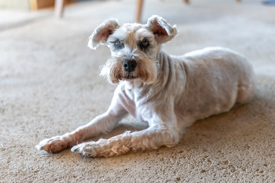 7jXrpps0q6ZKFqVxKGoj.jpg?w=940&h=940