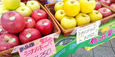 7jgkXoItmUCy0ugKPajO.jpg?w=940&h=940