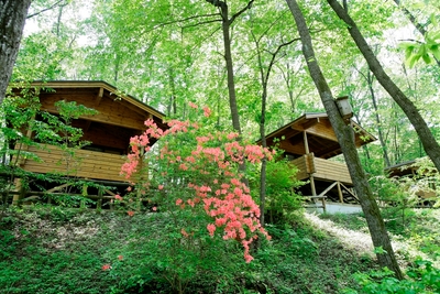 7jtpfmMCSFJqsvxYlaqw.jpg?w=940&h=940