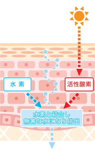 7lngTZ83fFZvZ8h0msxn.png?w=940&h=940