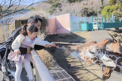 7mK8Gd1V4Dj9HeGLCXHa.jpg?w=940&h=940