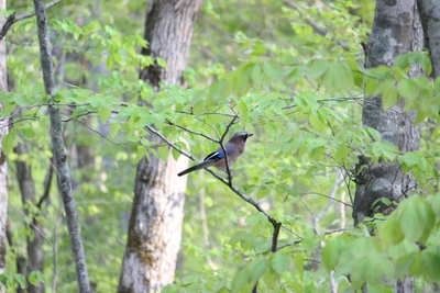 7oqZiDNP0GFwYZSJdKMI.jpg?w=940&h=940