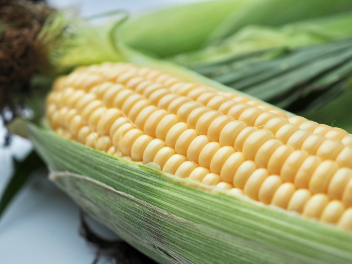 ゴルフボールですくい取り・とうもろこし