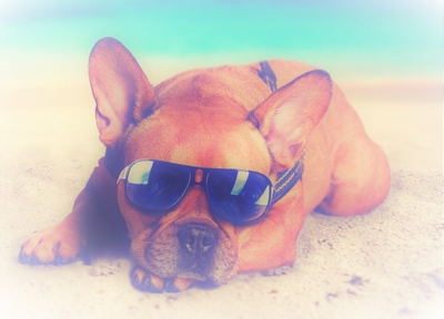 7qoUc6G0xUie9QPMyKJY.jpeg?w=940&h=940