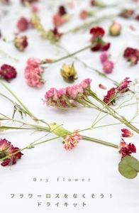 7rJJ0tqsgXPWKs5sapiy.jpg?w=940&h=940